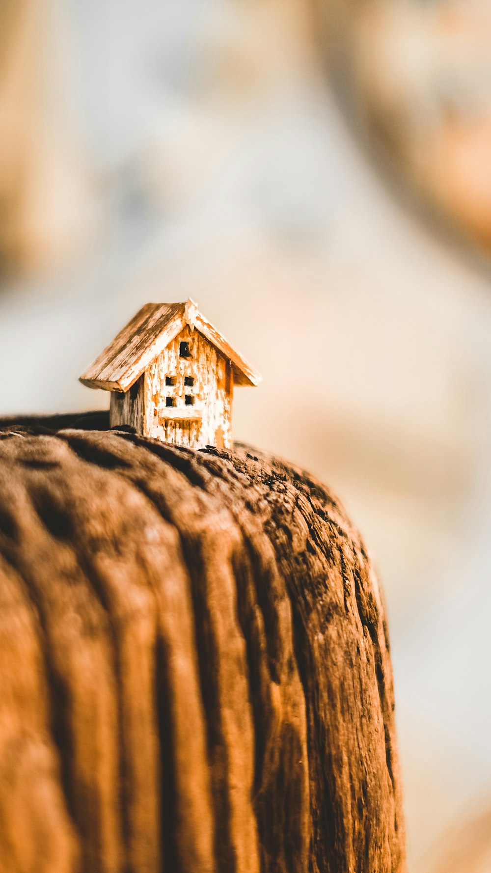 selective focus photography of brown wooden house miniature