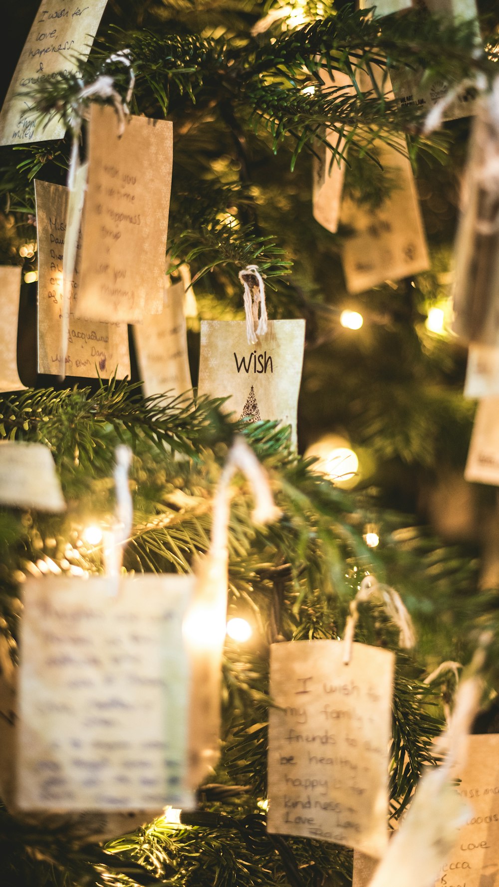 cards hanging on Christmas tree