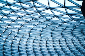 A geometric lattice structure, likely part of a roof or ceiling, with a pattern of interlocking triangles. The materials appear to be metal and glass, creating a futuristic and architectural aesthetic.
