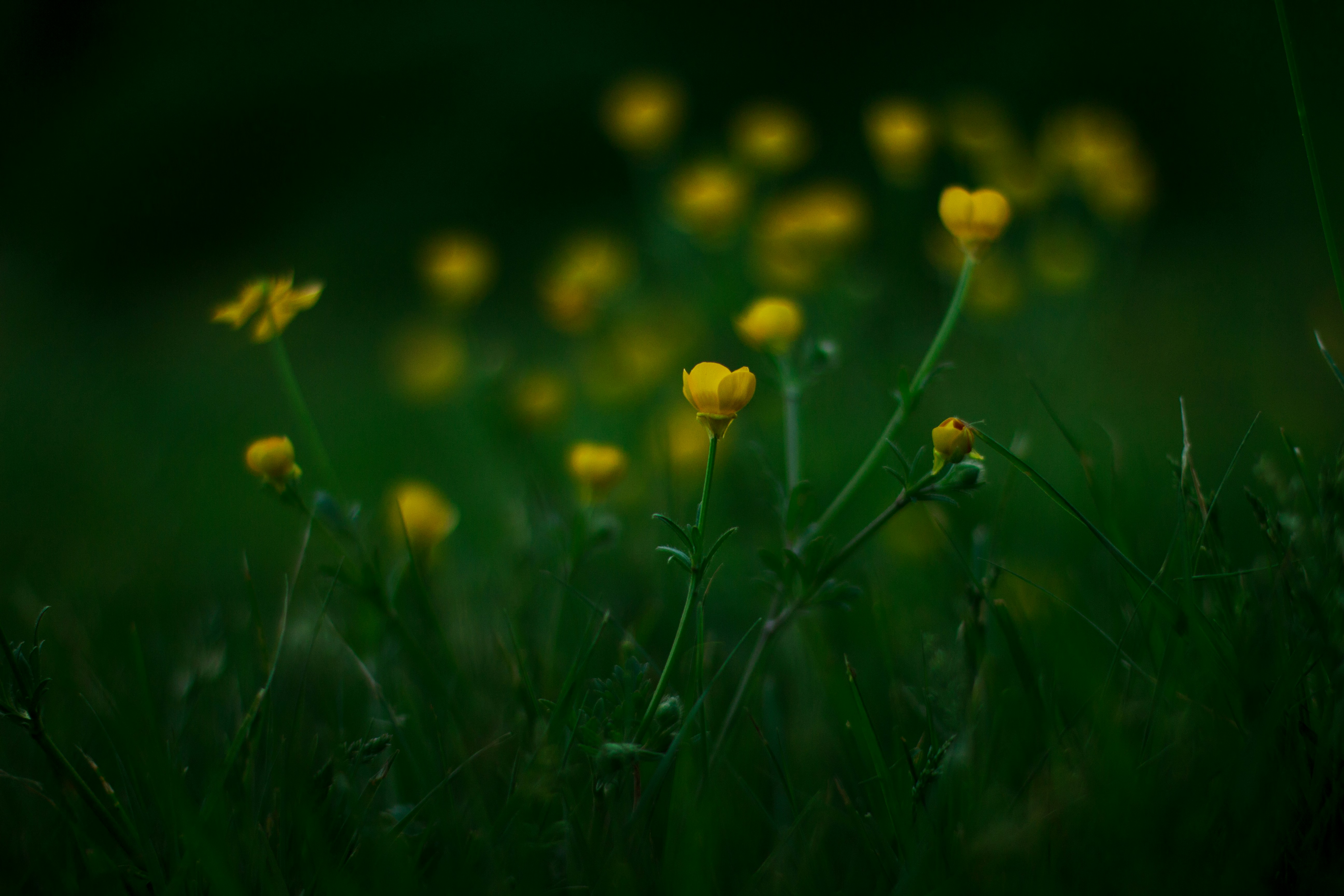 Photo by meghanschiereck