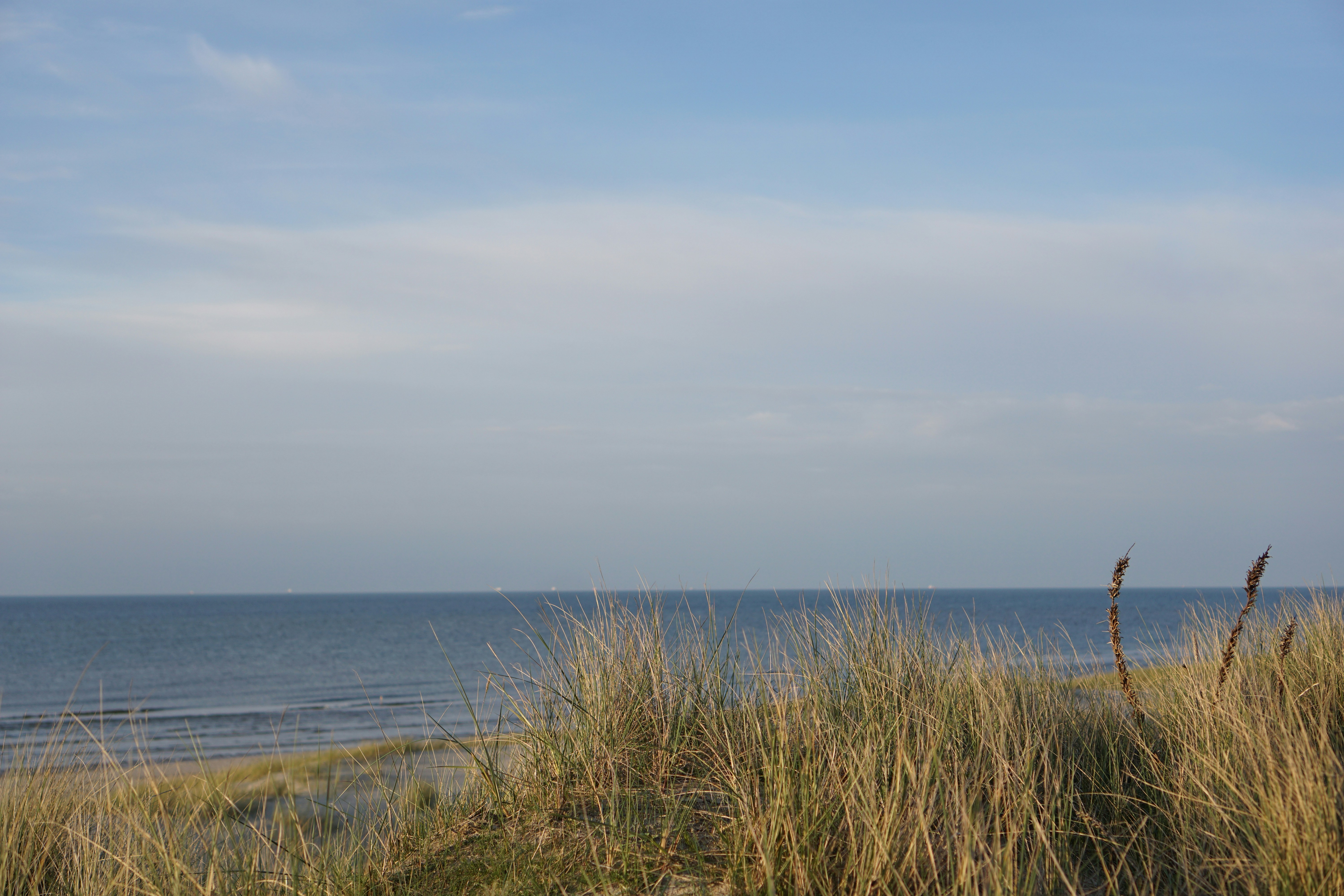 Photo by _timvancleef