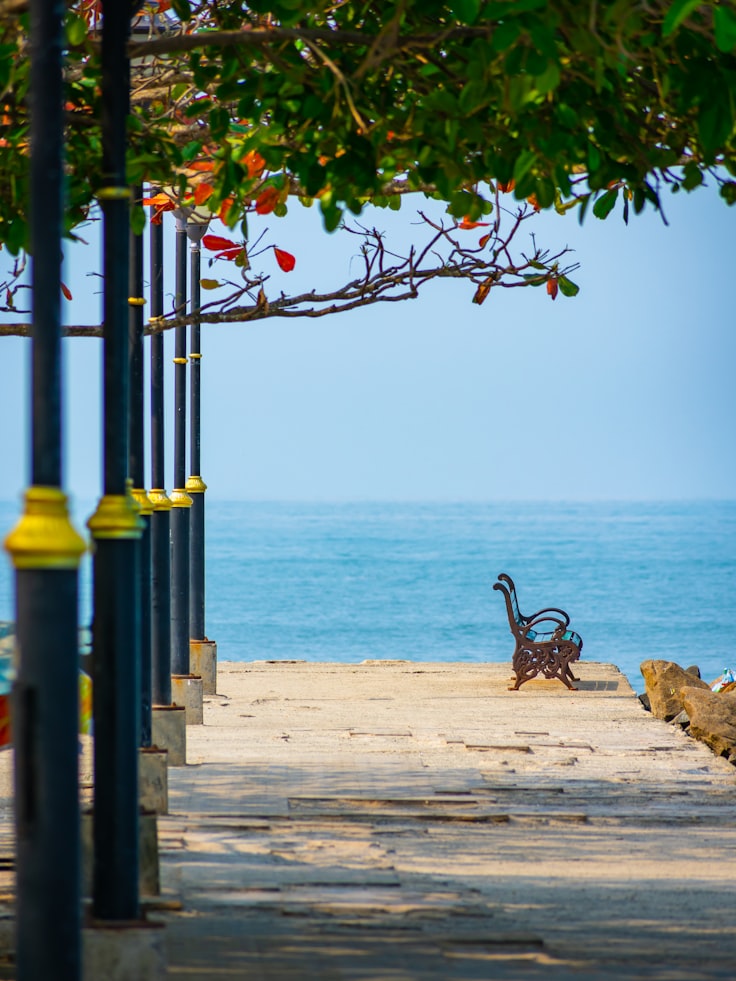 Fort Kochi, Cochin, India Travel Guide