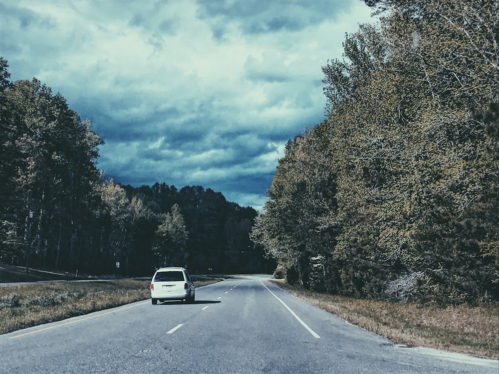 white vehicle on road near trees during daytime