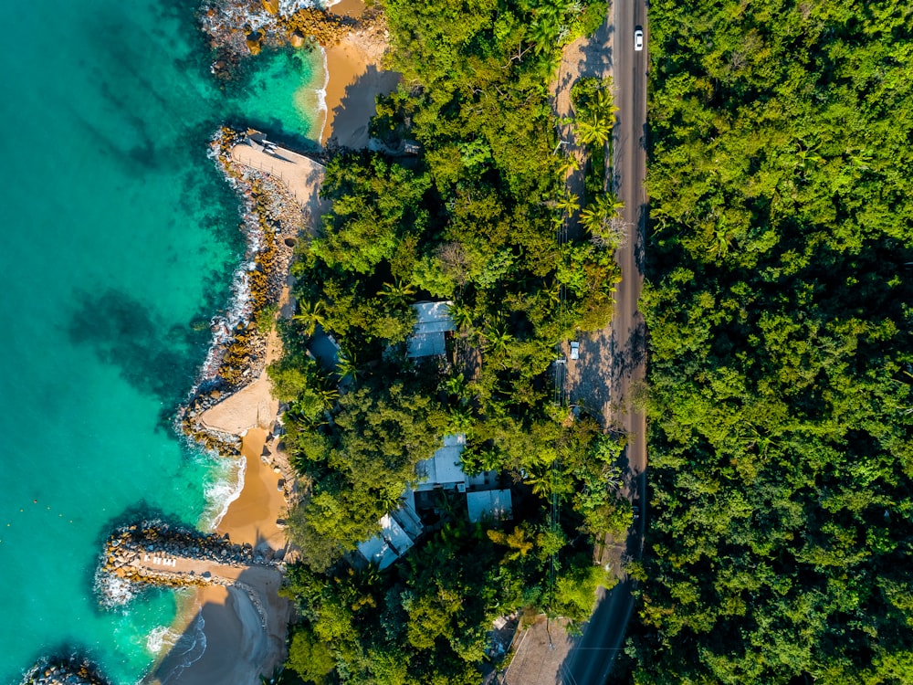 aerial photography of trees with house near body of water
