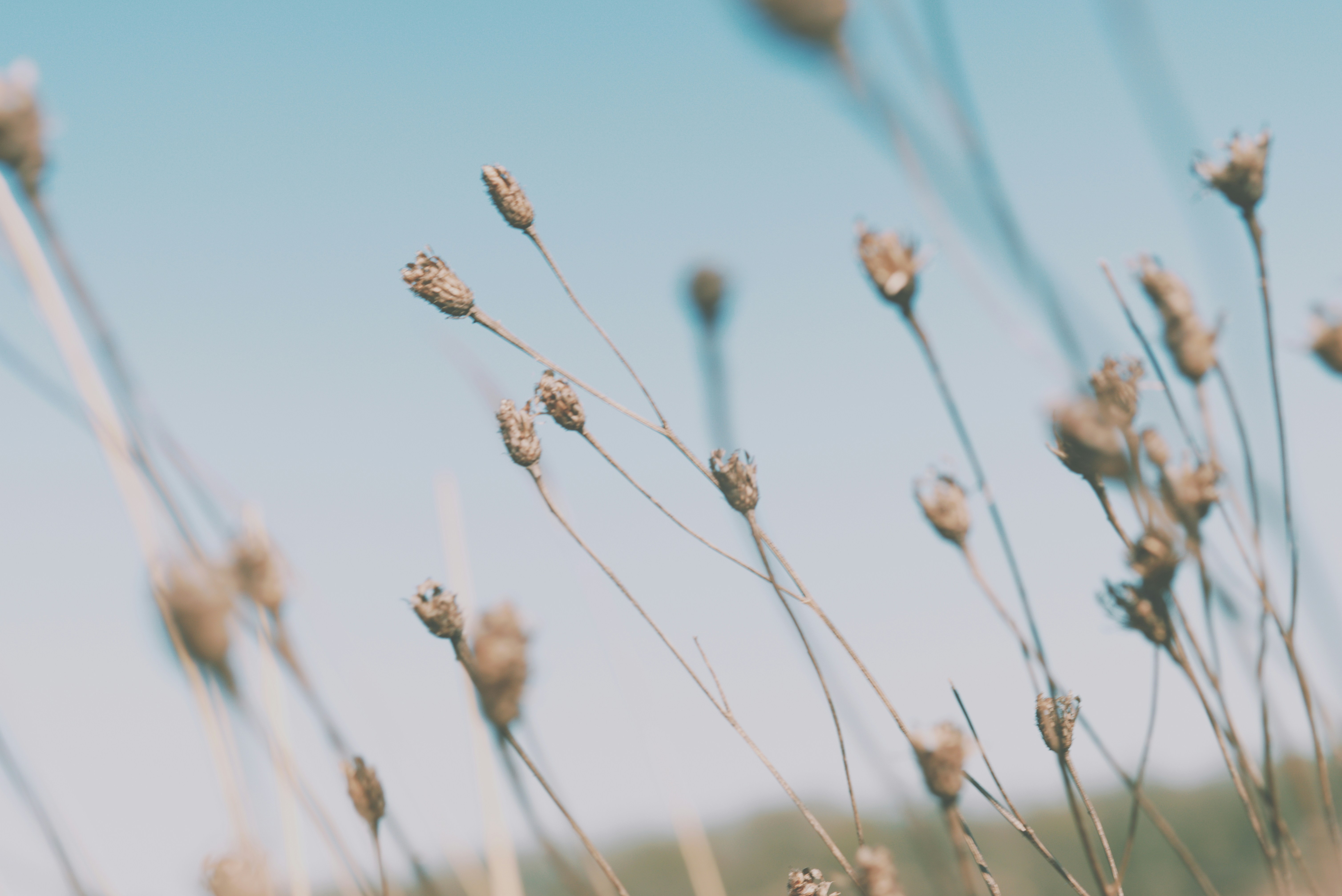 Photo by voyallaround