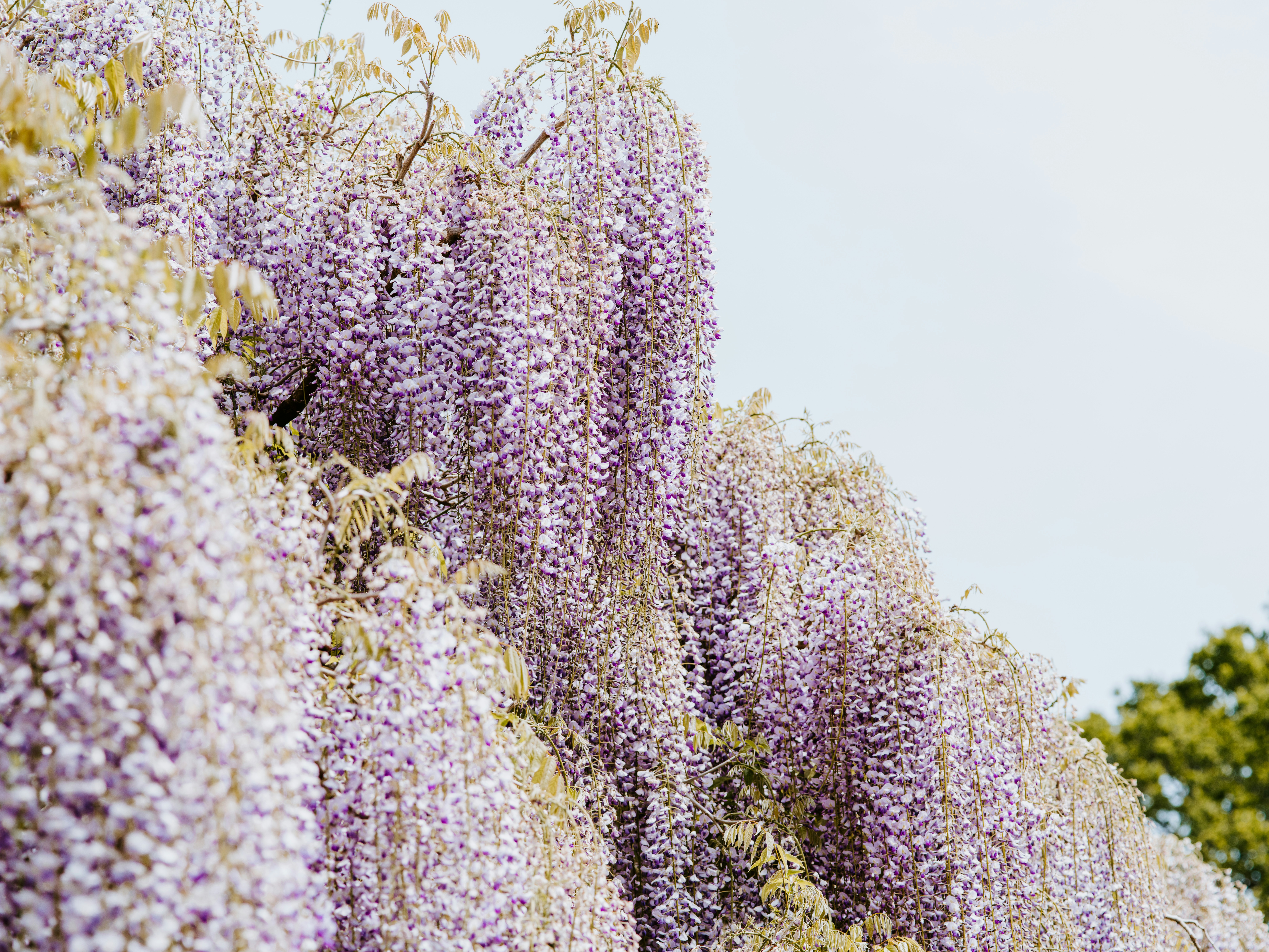 Photo by anniespratt