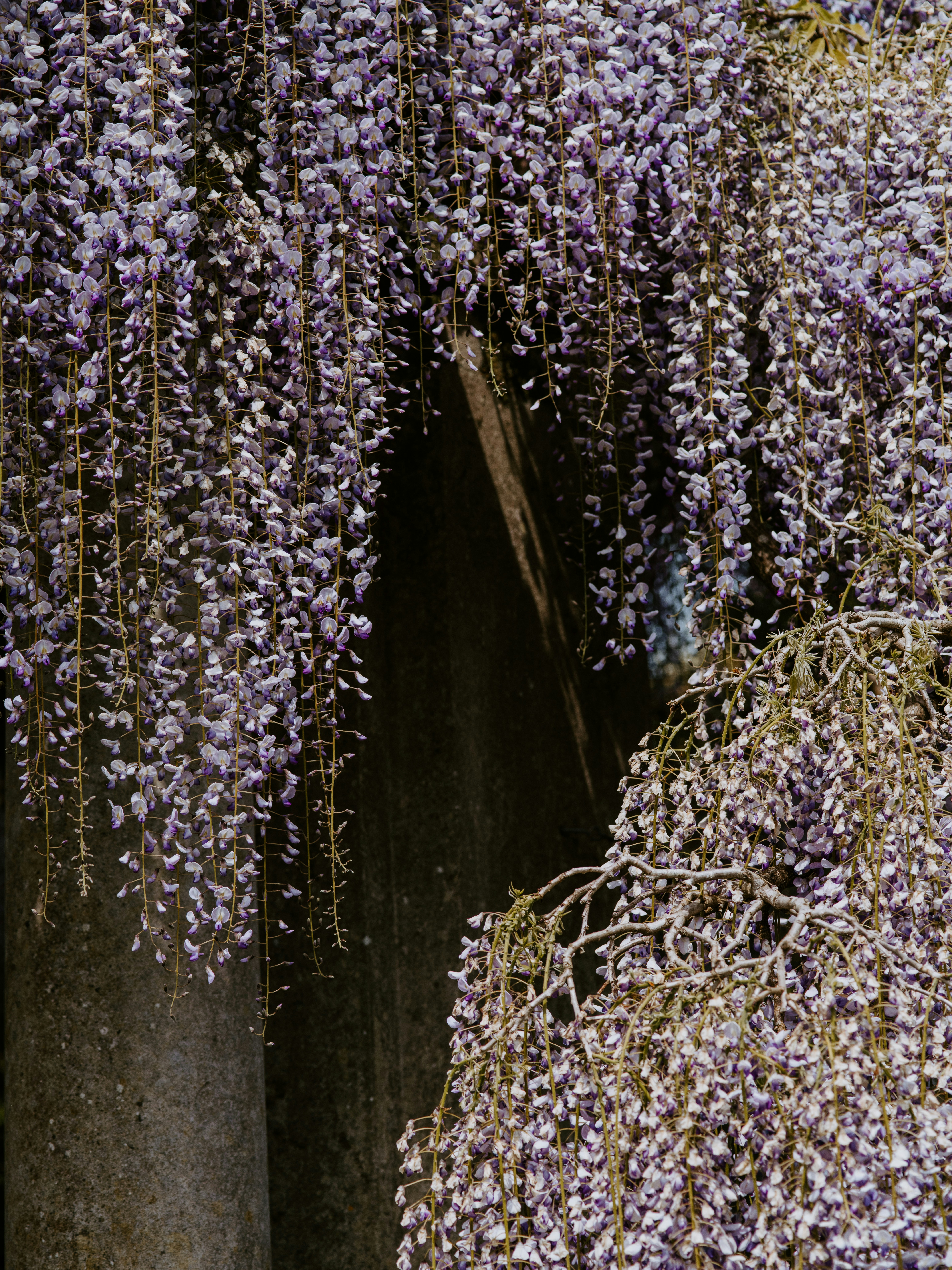 Photo by anniespratt