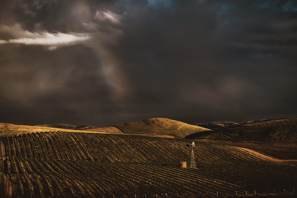 story clouds under plantation