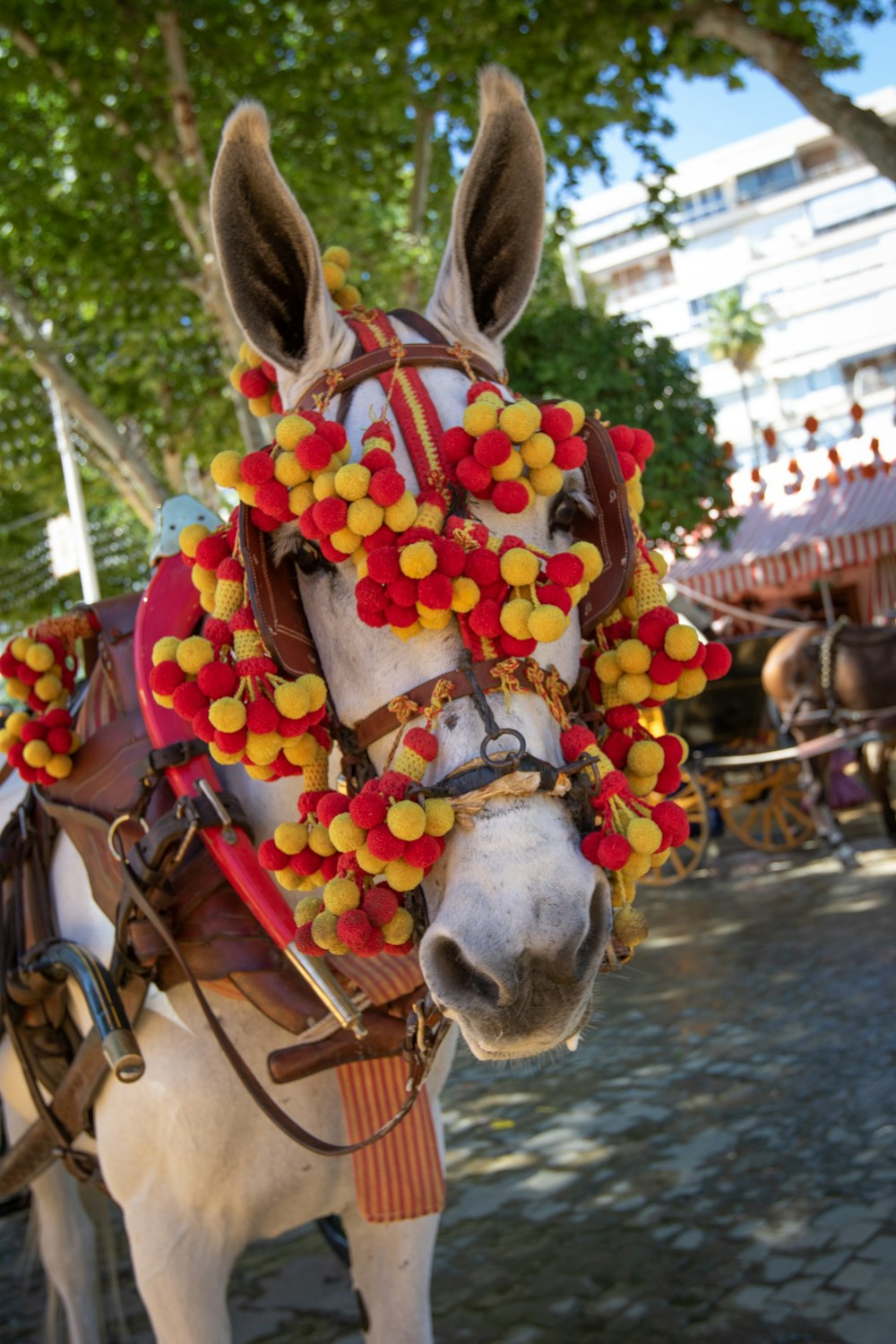 horse wearing floral lei