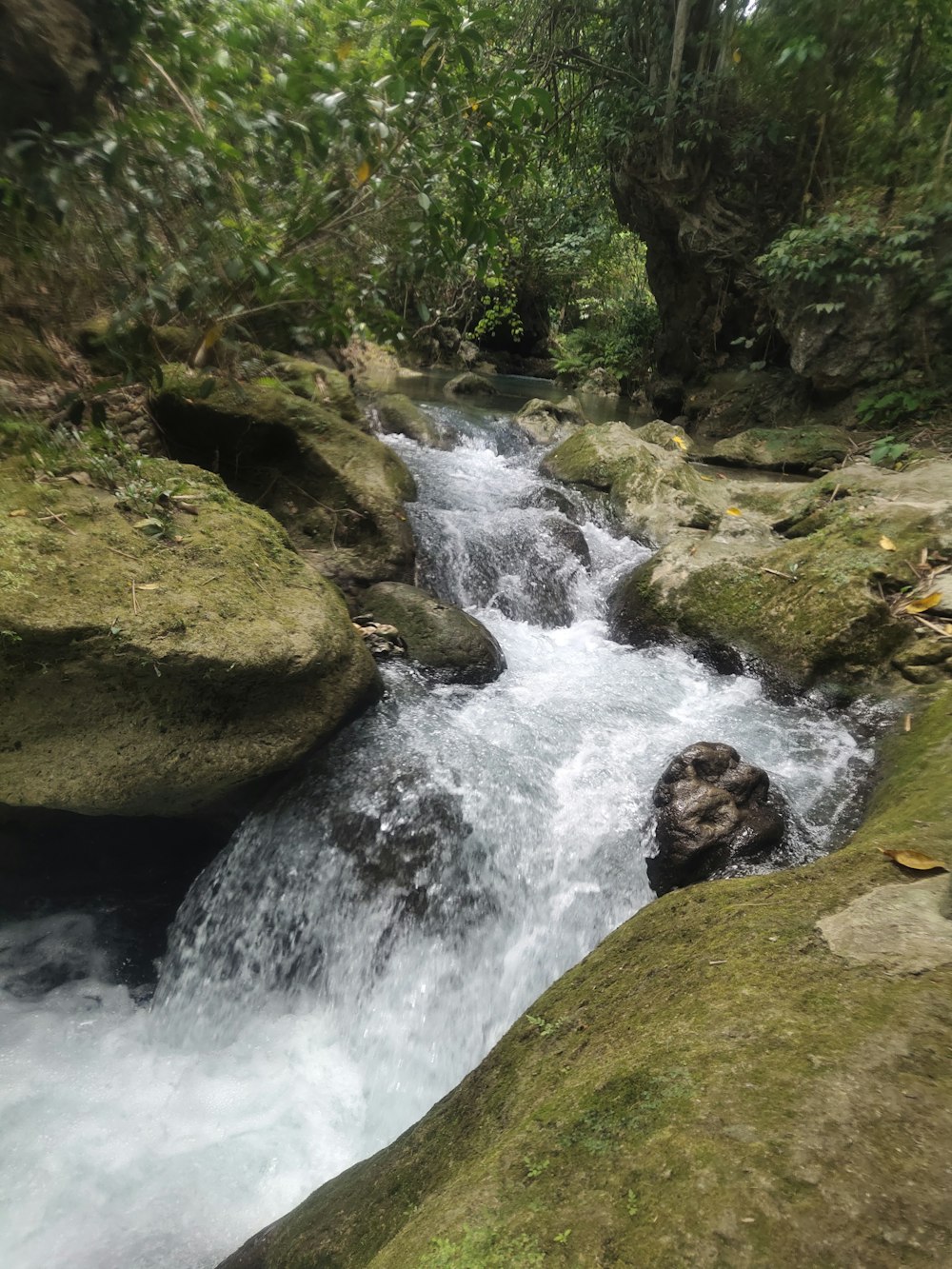 river in between rocks on forestt