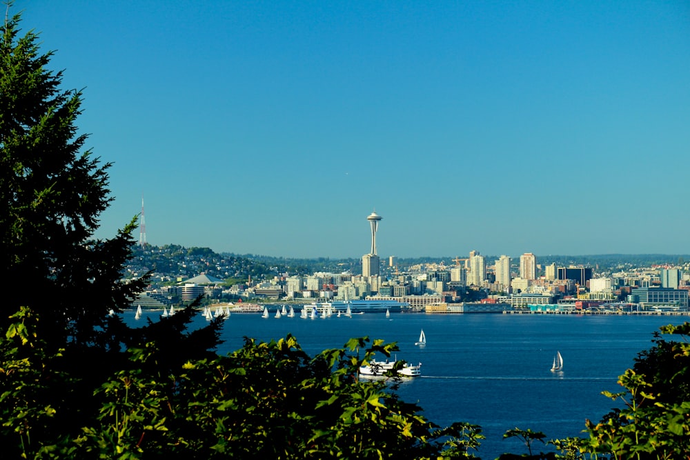 Seattle viewing mountain and sea under blue and white skies