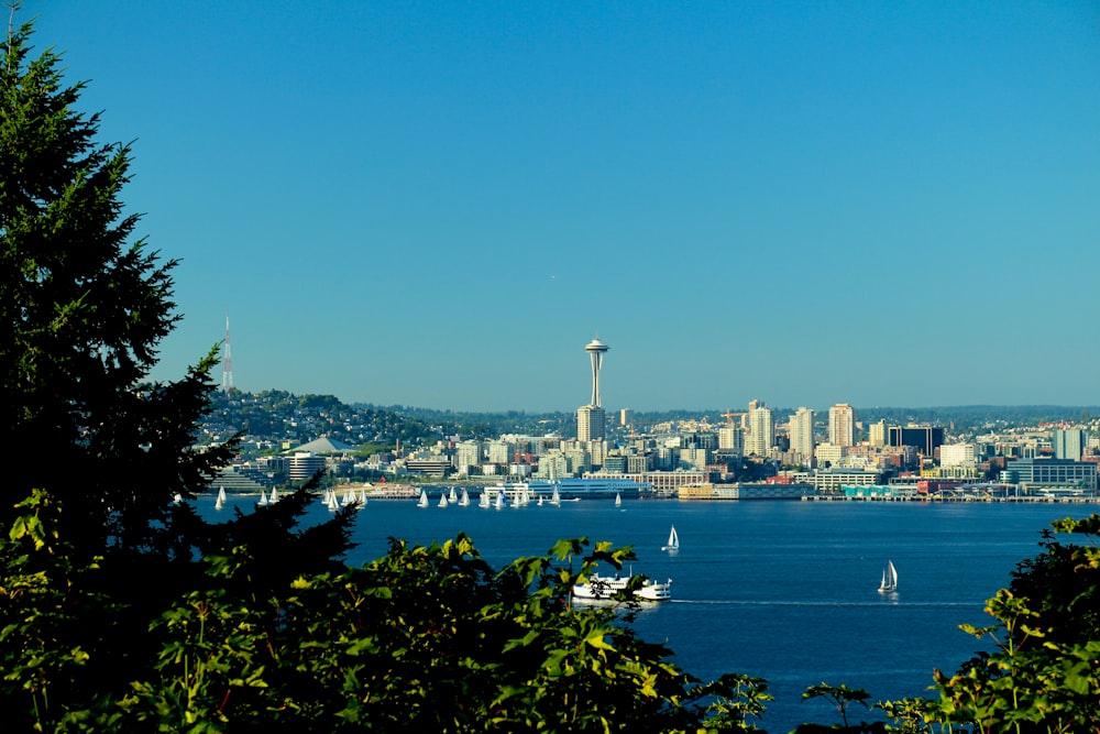 Seattle che osserva la montagna e il mare sotto cieli blu e bianchi