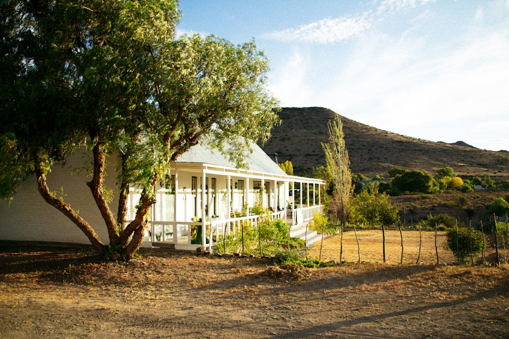 Casa de hormigón blanco al lado de un árbol durante el día