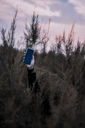 person raising phone on forest