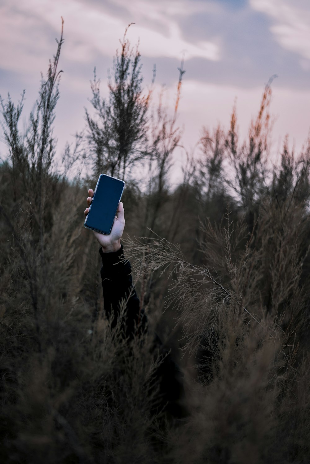 person raising phone on forest