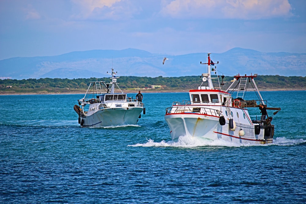 two white boats on water