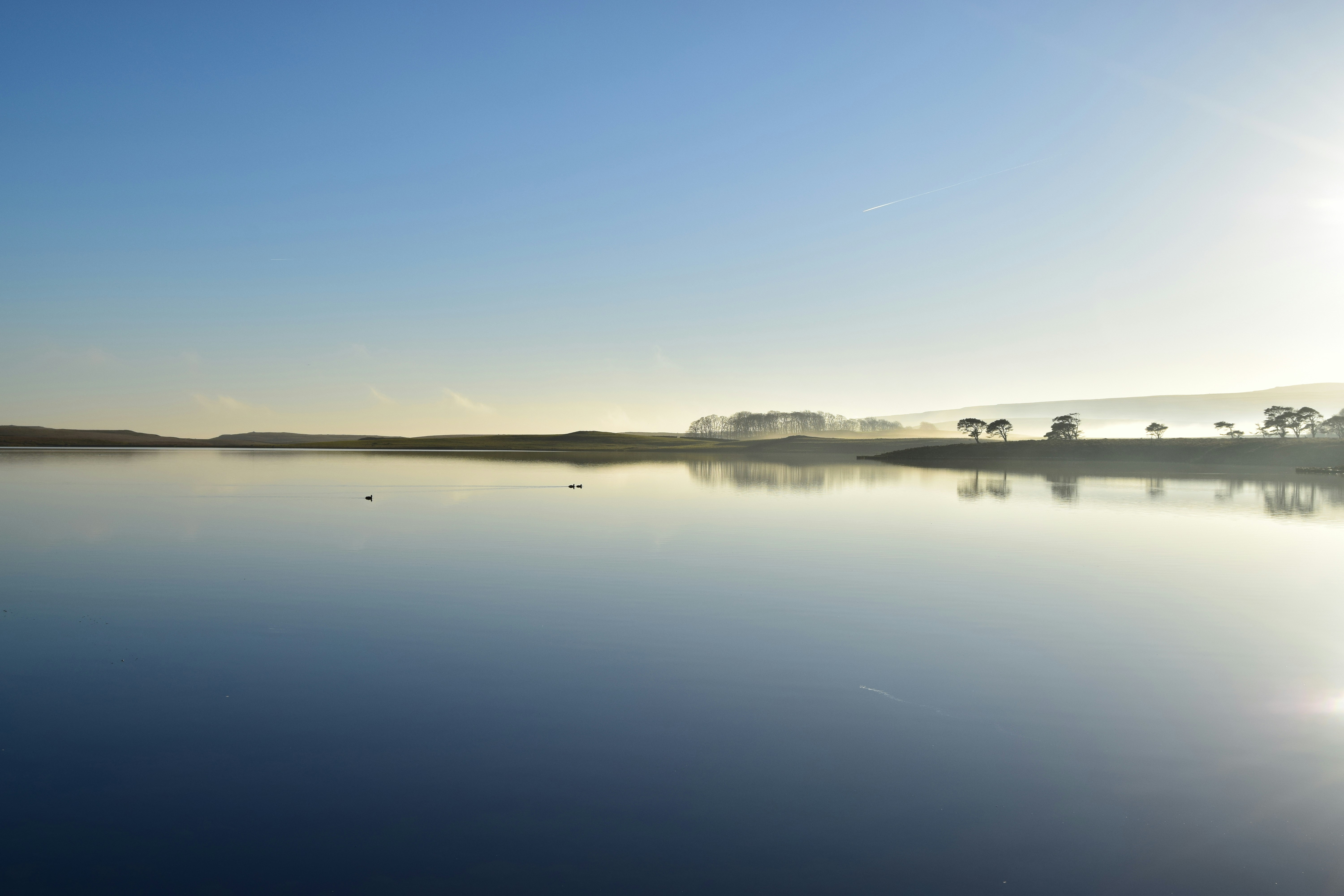 Photo by matthewwaring