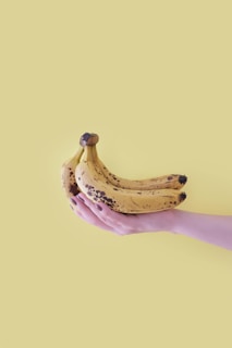 ¿es adecuado comer durante el entrenamiento?