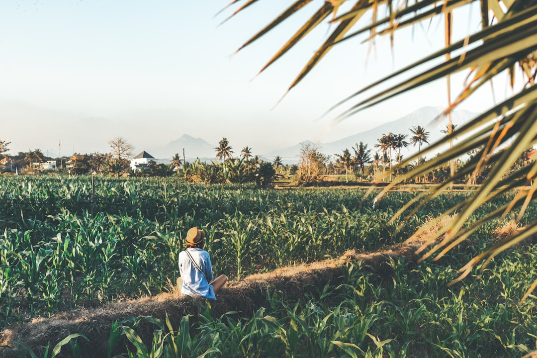 woman sitting on dirt road beside plants