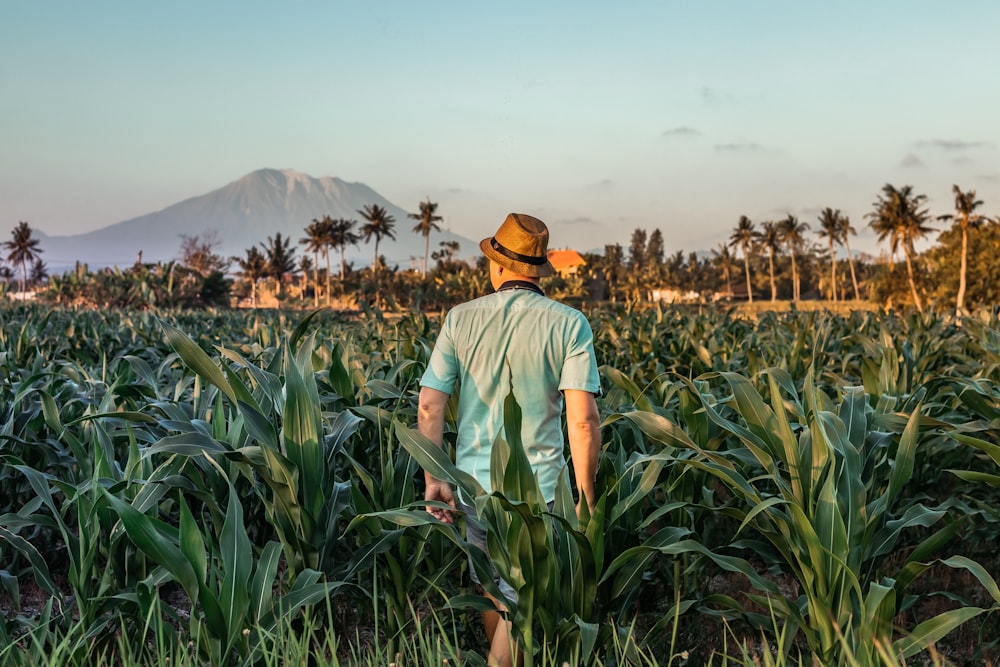 man standing on cornfield during daytime