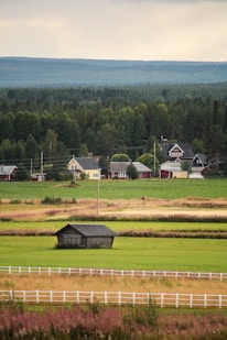 gray house on green field at daytime