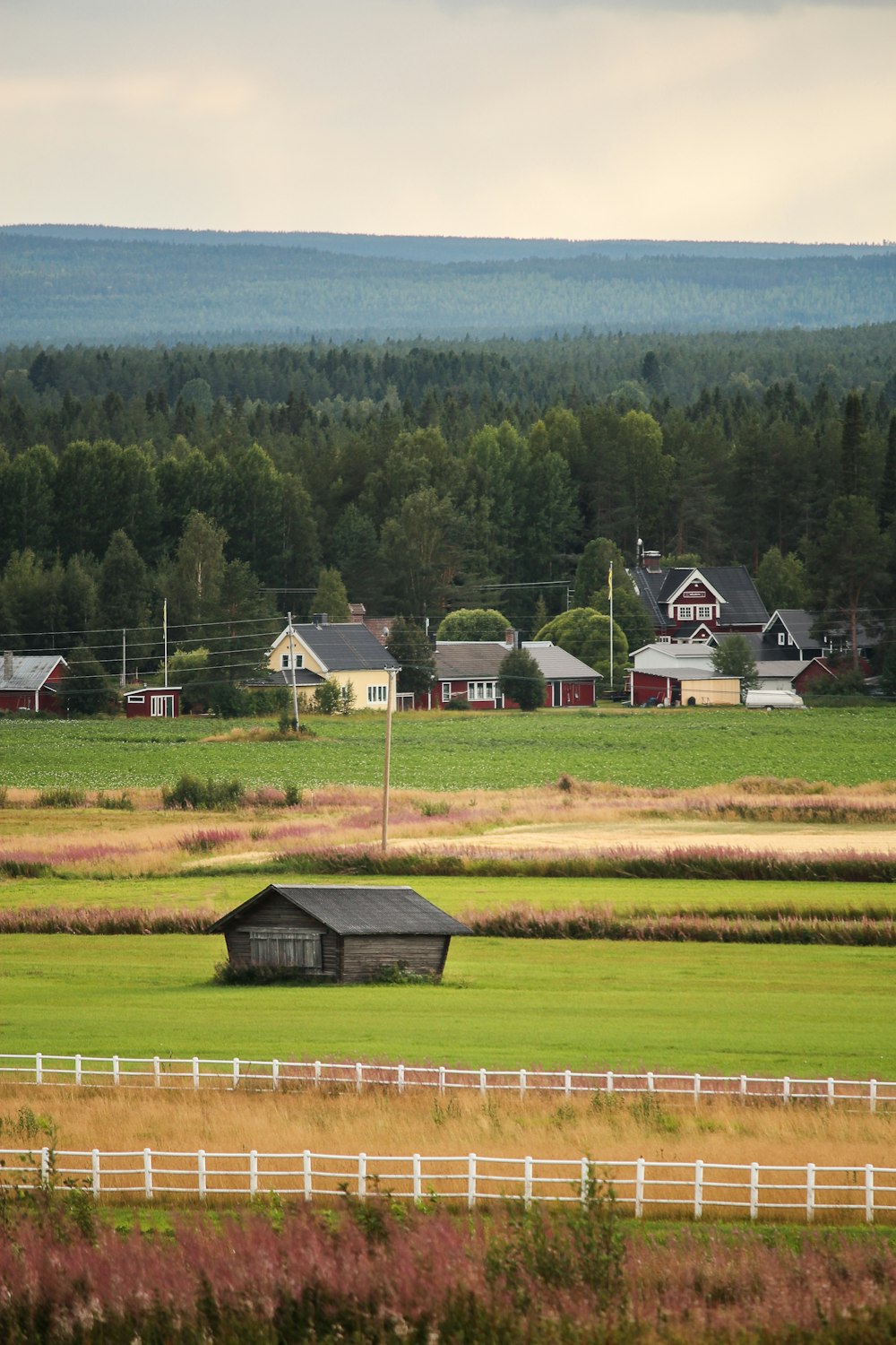 gray house on green field at daytime