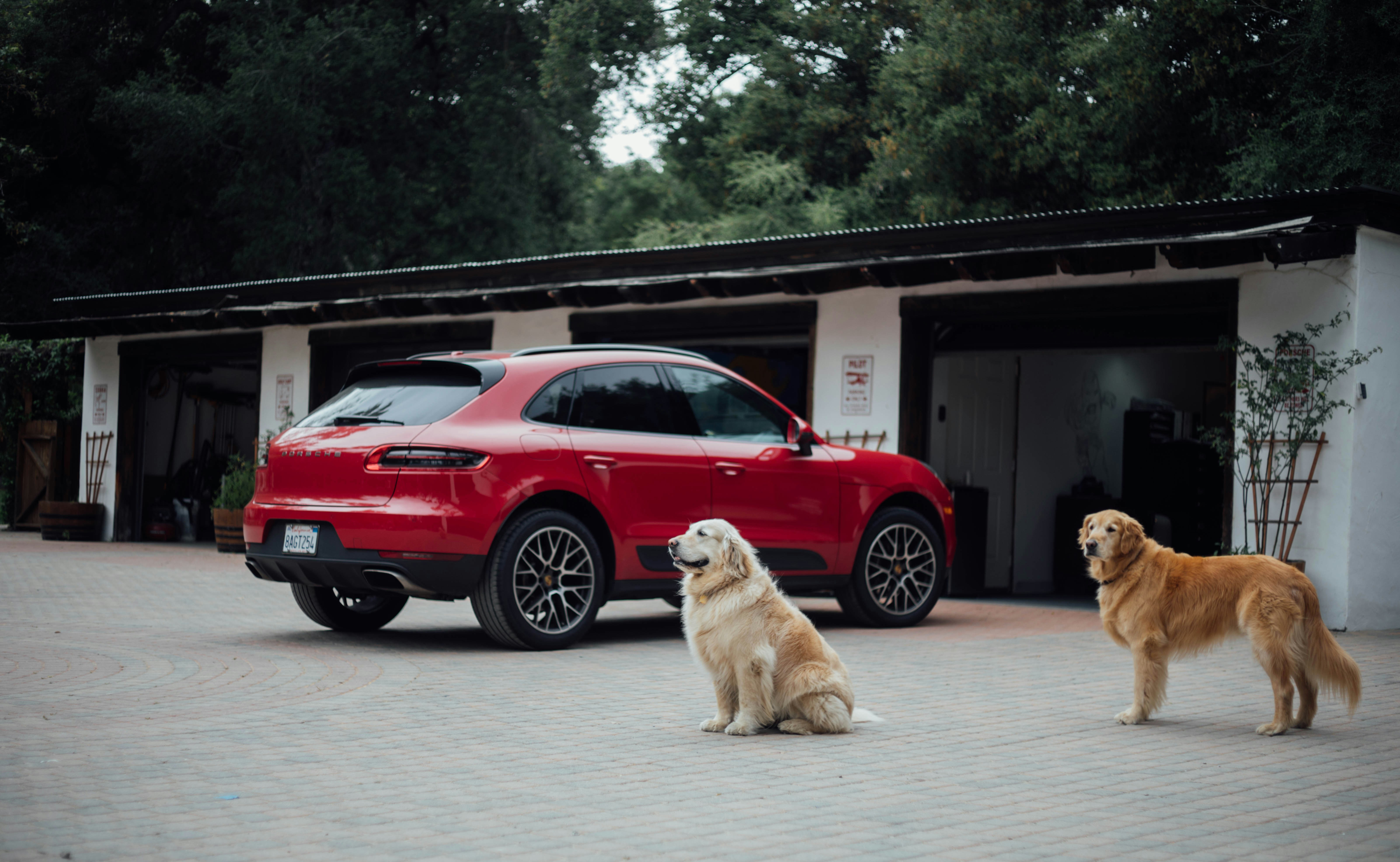 Bi-Weekly Cleanings (Monthly Membership)