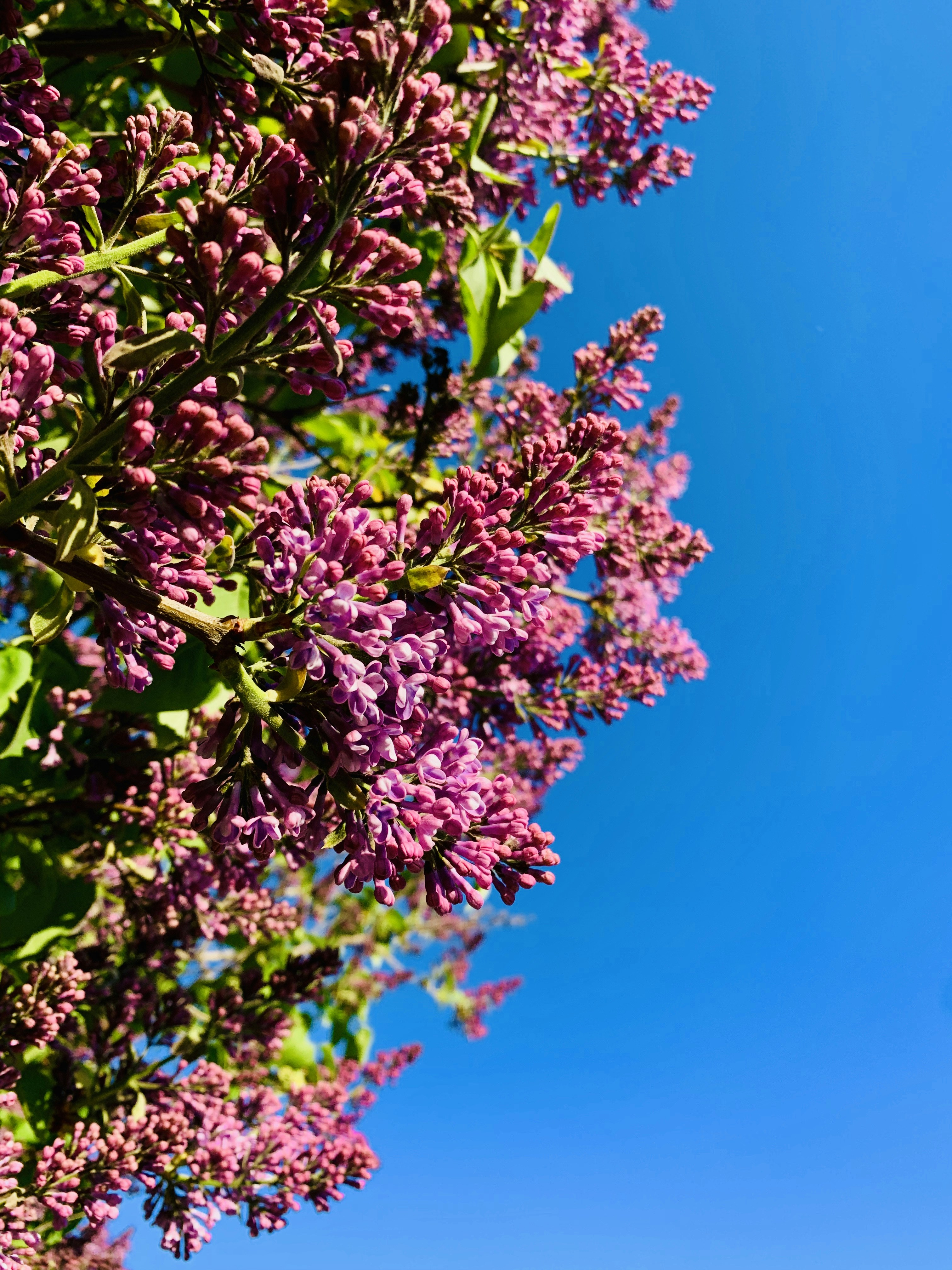 Photo by mrstupachenko