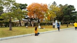 A picturesque park with people enjoying colorful outdoor activities.