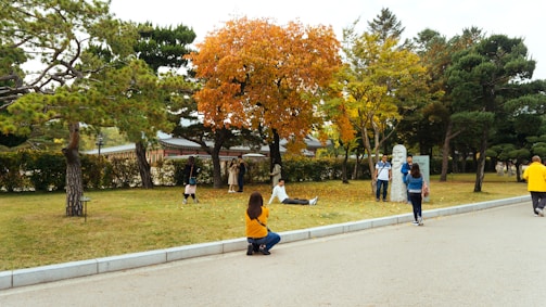 A picturesque park with people enjoying colorful outdoor activities.
