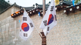 two Korea National flags