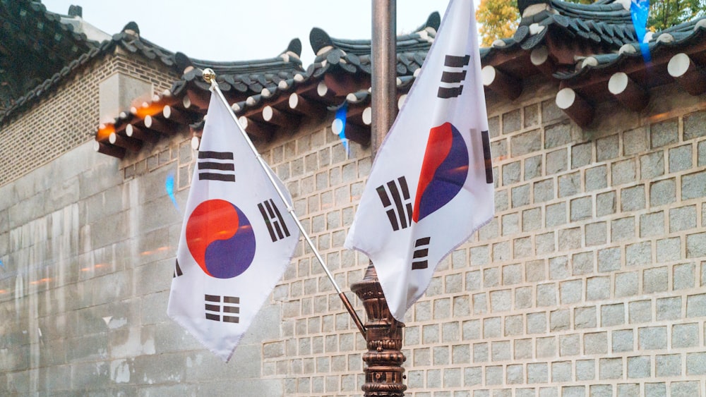 two Korea National flags