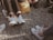 A person wearing shoes at a casual outdoor gathering.