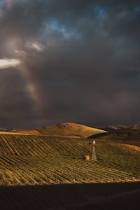 Domaine Rouge Cuvée
