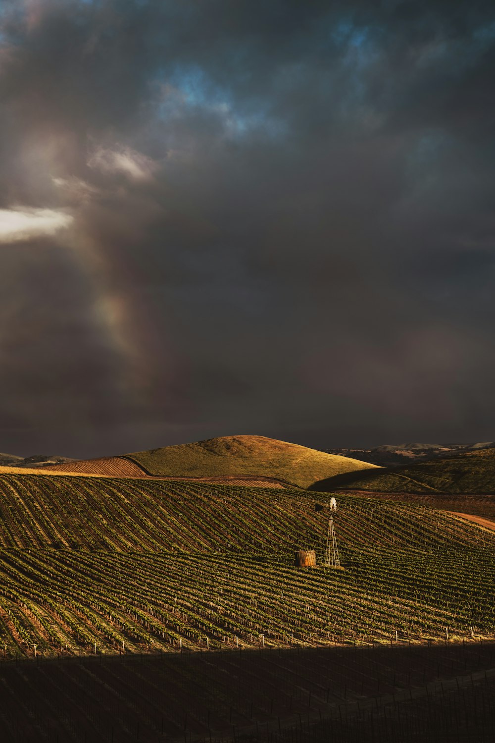 landscape photo of a farm