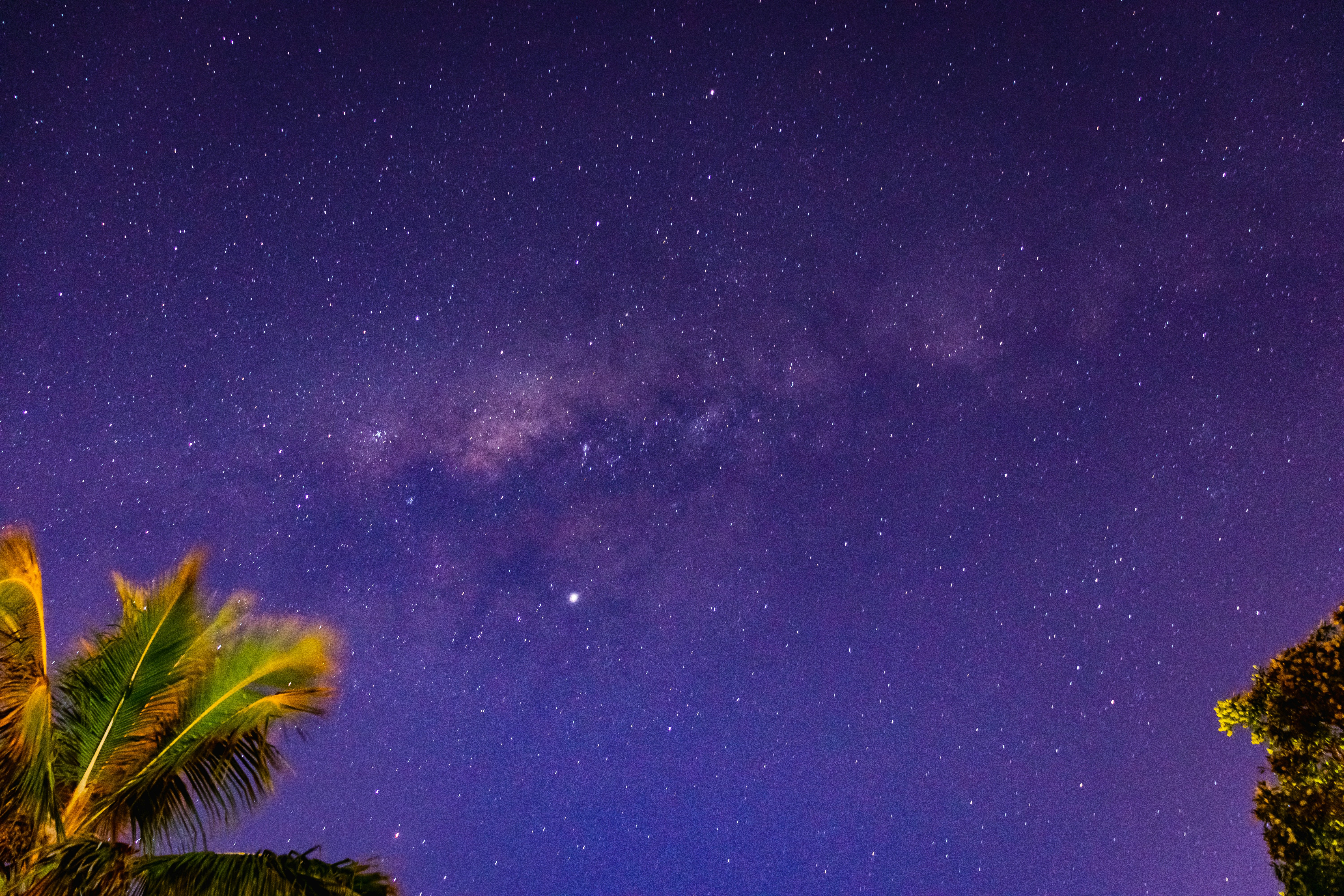 palm tree across night sky, Shot of the Galactic Core of the Milky Way over the Gold Coast, Australia in early May, 2019  was out looking for meteorites but decided to shoot the Milky Way instead. 