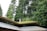 A modern building with a green roof is set against a backdrop of tall, lush evergreen trees. The architecture features angular lines and large glass windows, integrating the structure harmoniously with the surrounding natural landscape.