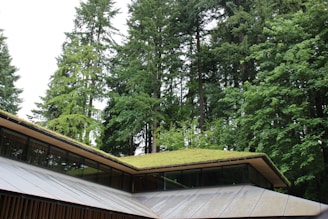 A modern building with a green roof is set against a backdrop of tall, lush evergreen trees. The architecture features angular lines and large glass windows, integrating the structure harmoniously with the surrounding natural landscape.
