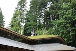 A modern building with a green roof is set against a backdrop of tall, lush evergreen trees. The architecture features angular lines and large glass windows, integrating the structure harmoniously with the surrounding natural landscape.