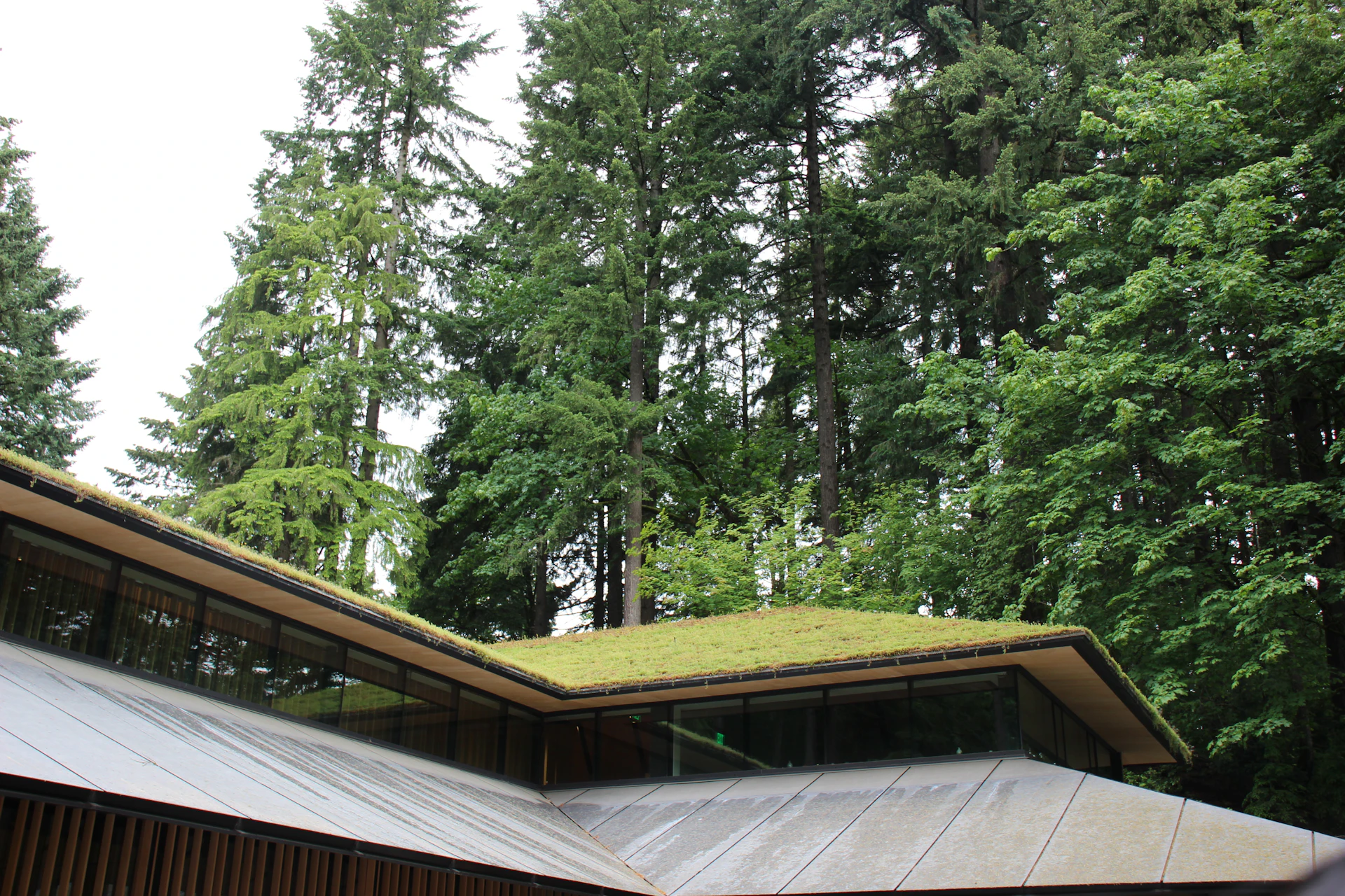 Eco-focused green infrastructure