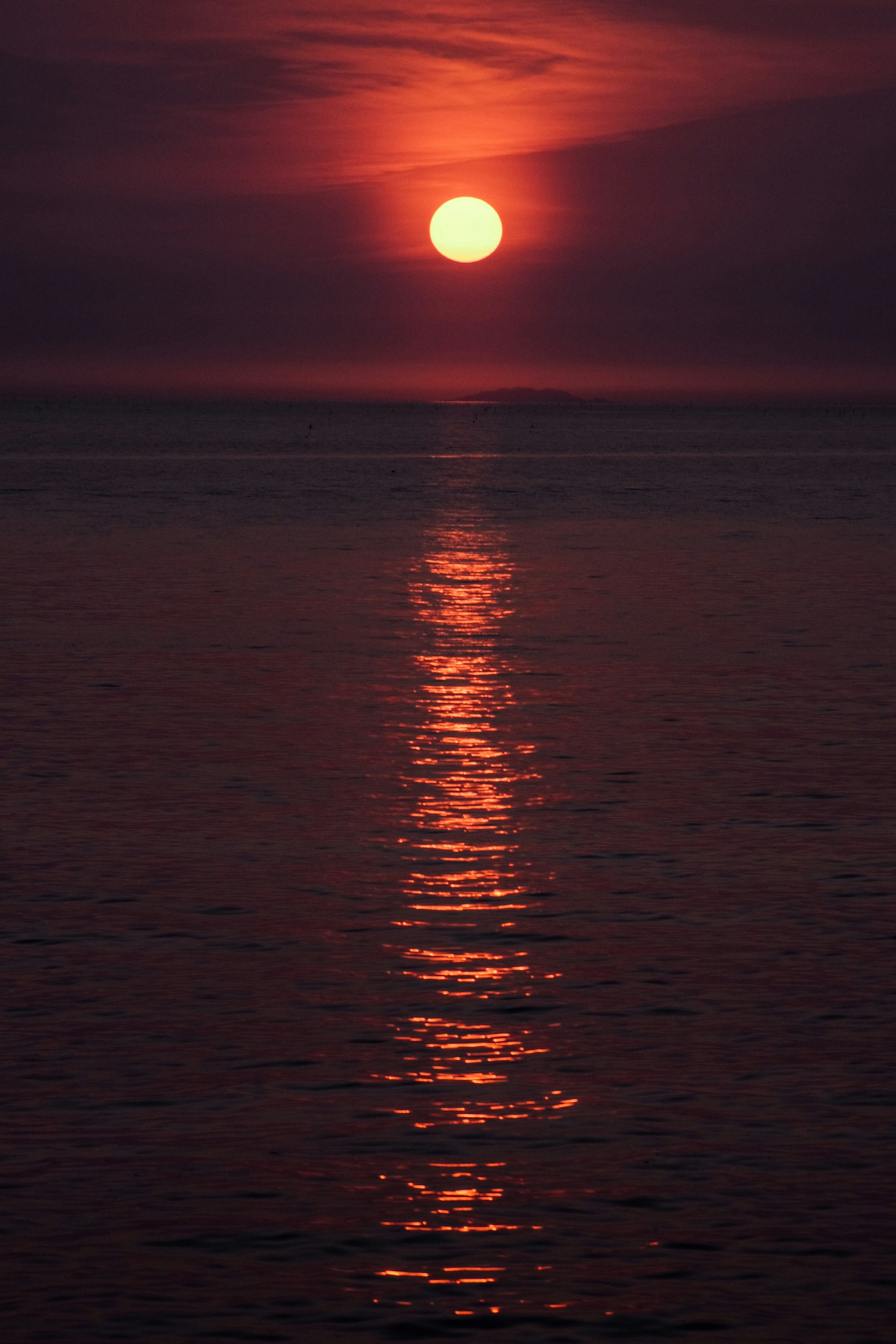 Photo by insungpandora