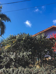 Close-up of a luxury Palm Beach home with a newly replaced roof under bright blue skies.