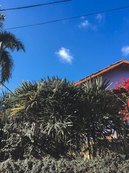 Close-up of a luxury Palm Beach home with a newly replaced roof under bright blue skies.