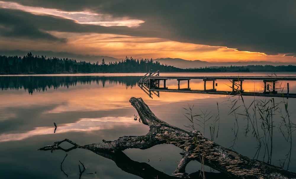 brown wooden dock during daytime