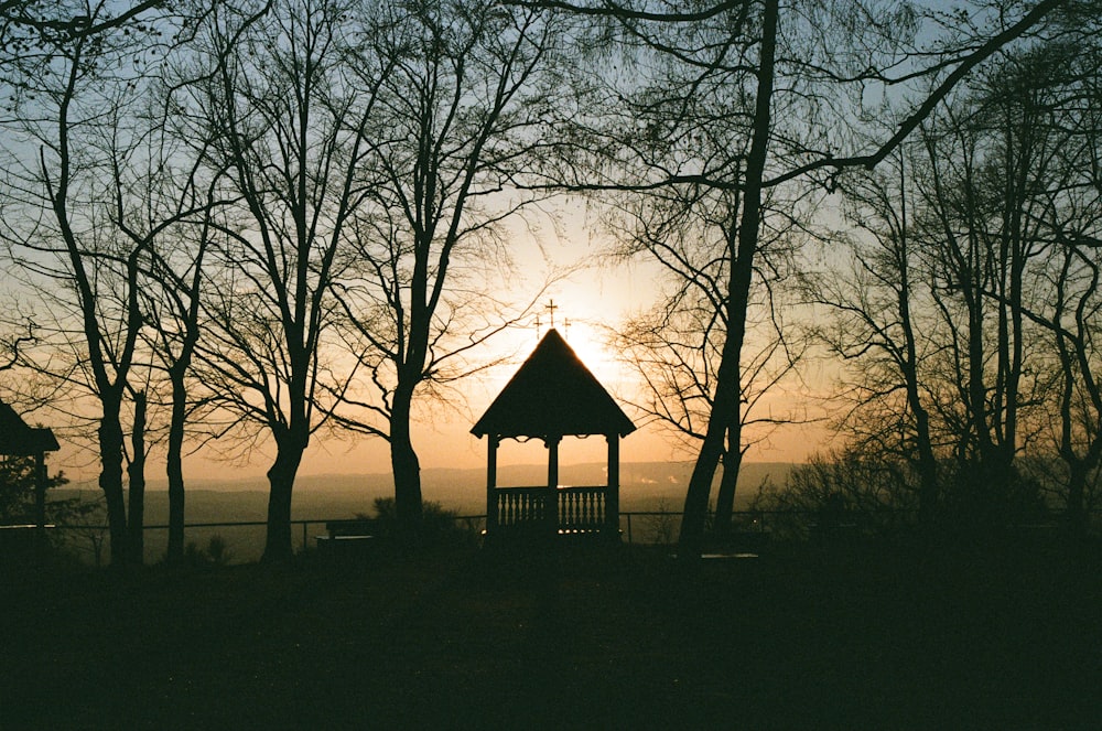 gazebo surrounded by trees