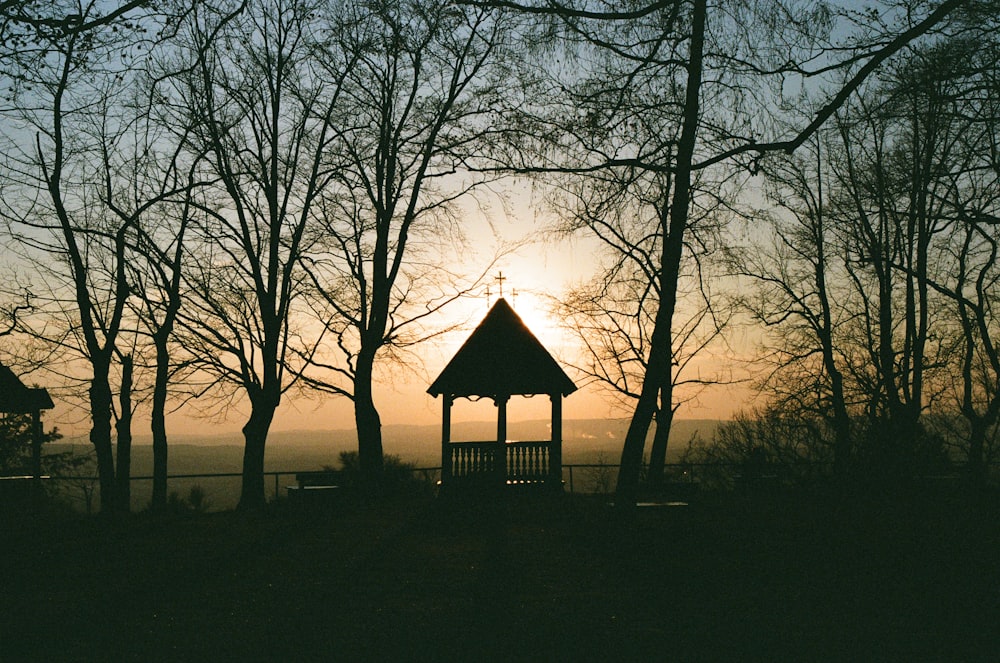 gazebo entouré d’arbres