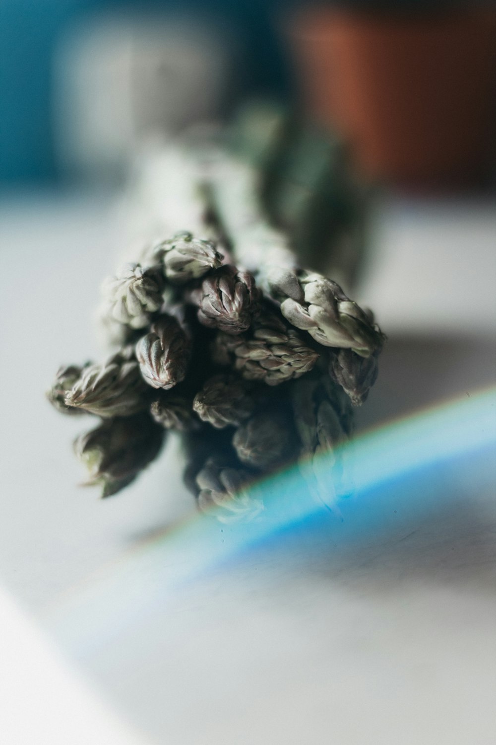 a close up of a bunch of flowers on a table