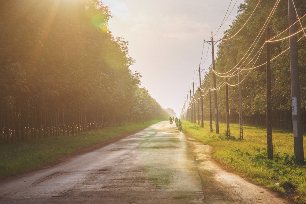 brown road path surrounded with green grass and trees