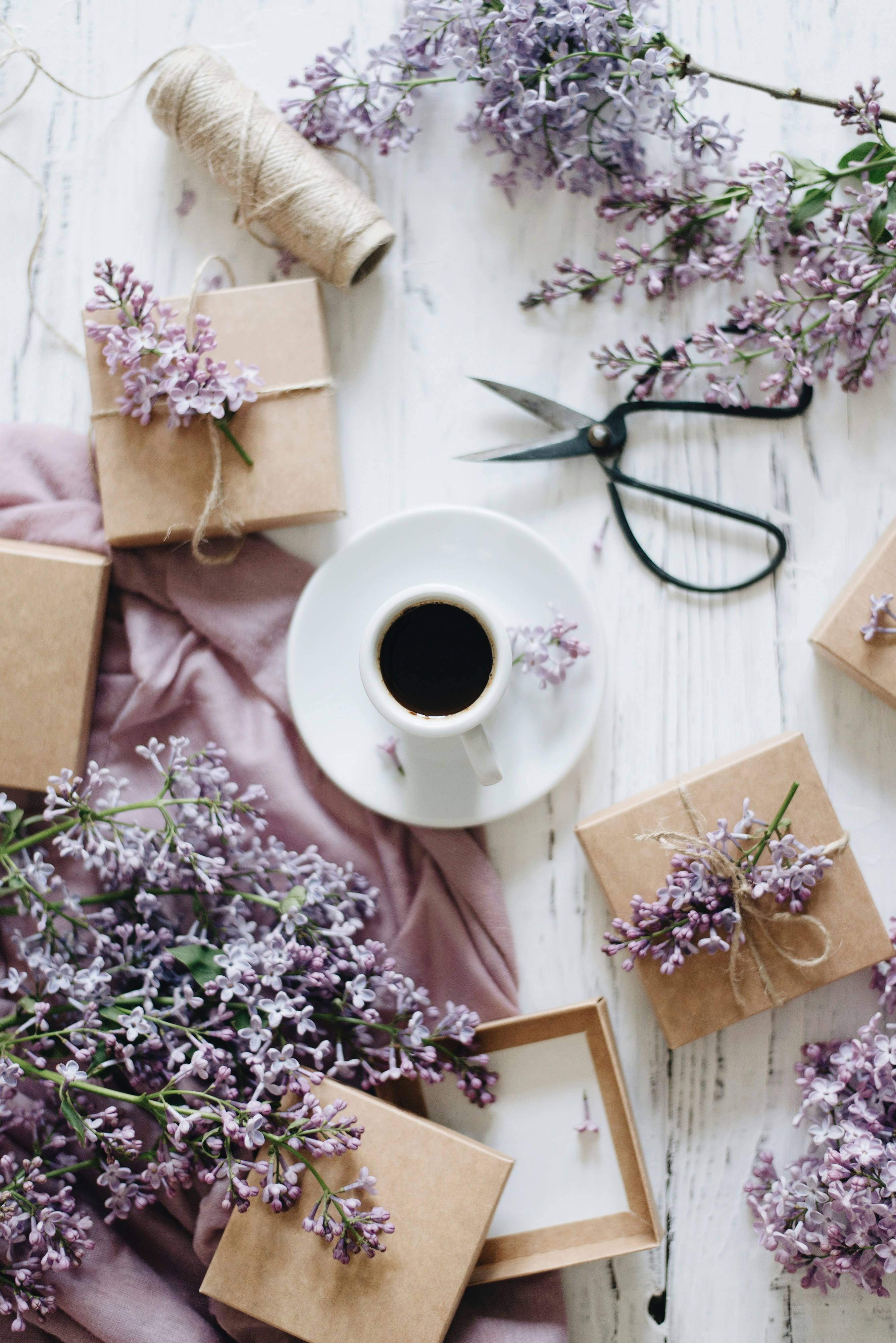 Photo by shadrinaphotography