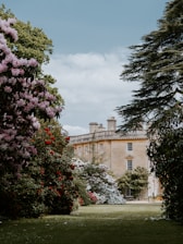 A charming historic building with classic architecture surrounded by lush greenery.